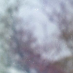 Meet your Posher, Sofia